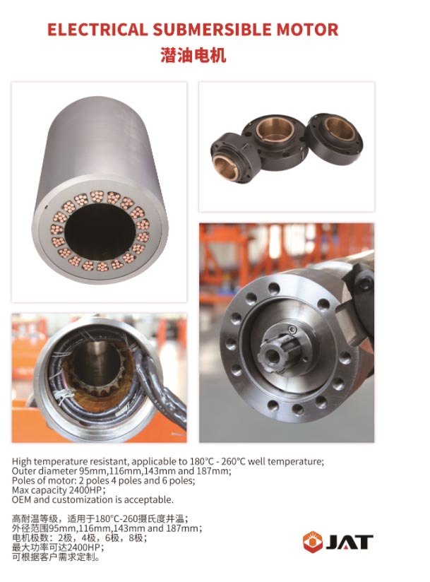 Electrical Submersible Pump for Oil